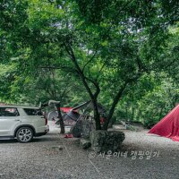 계곡과느티나무 캠핑장