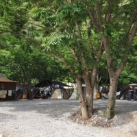 계곡과느티나무 캠핑장