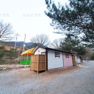강원도 영월 계곡 캠핑장 느티나무에서 봄날 힐링캠핑