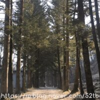 아버지의 숲 산정캠프