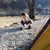 힐링 가평오토캠핑장 : 겨울캠핑 가평 썰매장 즐기기