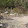 천안 호두나무 캠핑장 3월 새단장 오픈!