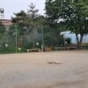 [용인 고기리 맛집] 모노캠프 - 캠핑 훈연 바베큐 셋트