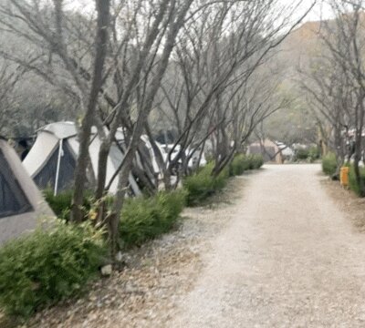 전북 부안 캠핑장 내소힐링캠프 변산반도 내변산 캠핑