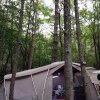 나의 첫 숲속캠핑 청도수리덤오토캠핑장