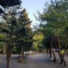모야의숲 캠핑장 - 피서캠핑