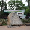107th - 비슬산자연휴양림 숲속 오토캠핑장 최애장소!
