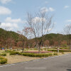 캠핑 / 2박 3일 봄 캠핑 - 충남 금산 인삼골 오토캠핑장
