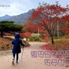 제천 월악산국립공원 덕주야영장 - 가을의 색감을 느끼다.