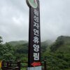 횡성자연휴양림 - That's Camping 캠핑장 사이트 (Feat.... 