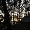 [캠핑] 태안 백사장 사계절 숲속 캠핑장