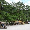 [오토캠핑] 월악산 억수오토캠핑장, 솔숲이 아름다운 캠핑장