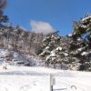정읍 로하스 캠핑장 겨울 캠핑 풍경