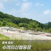 충북 음성 생극 수레의산 자연휴양림 캠핑장