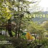 [캠핑] 박달재자연휴양림 - 1야영장 데크 정보