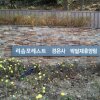 박달재자연휴양림,야영장(충청북도 제천시)