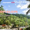 #157 제천 박달재자연휴양림 야영장 - 휴양림같지 않은 휴양림... 