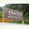 강원도 영월 피크닉(소풍) 동강아름캠프(평상대여)