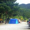 ♧ 소나무 황제 캠핑 ; 왕피천모래언덕 오토캠핑장