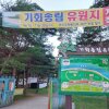 밀양 기회송림 캠핑 부산 근교 애견동반 캠핑장