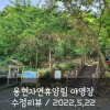 [국립자연휴양림] 충남 용현자연휴양림 야영장 리뷰... 