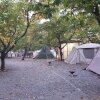 [캠핑]할로윈 캠핑 가평 다둥이네 캠핑장