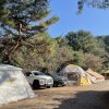 [동두천캠핑] 미리크리스마스  캠핑을 즐긴 '산야초자연캠핑장'