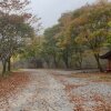 홍천] 가을 분위기 단풍 가득한 할로윈 캠핑 '알프스밸리'캠핑장