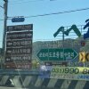 [경기도_양평] 차박 가능한 노지캠핑 도장계곡유원지