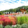 경북e누리와 웰니스 테마 여행 #경북가을여행추천... 
