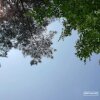 [블로그씨 답변] 가을 피크닉 추천 - 중랑캠핑숲 나들이공원