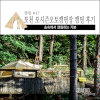 포천 포시즌오토캠핑장 숲속에서 솔로 캠핑 후기