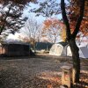 [10월] 완벽한 가을, 핼러윈 캠핑 - 로하스 캠핑장