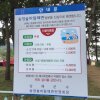 남해군 송정솔바람 해변 캠핑장