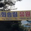 [경남 / 밀양] 기회 송림 공원 야영장 (첫 캠핑)