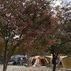 충북 충주 : 밤별 캠핑장에서 즐거웠던 할로윈 캠핑