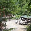 [지리산국립공원] 한여름에도 시원한 소막골 야영장