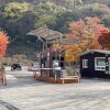 내장산국립공원 내장 야영장 가을 단풍 캠핑 후기