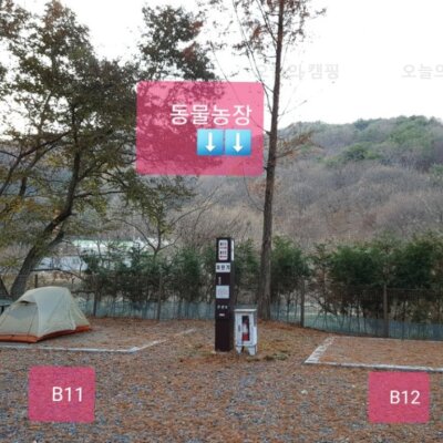 [캠핑장소개]장태산자연휴양림캠핑장