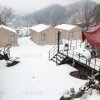 강원도글램핑-화니글램핑/눈오는 날의 겨울 캠핑.겨울갬성-홍천 화니글램핑