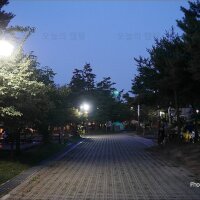 문암생태공원 캠핑장