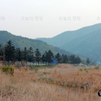 민주지산자연휴양림야영장
