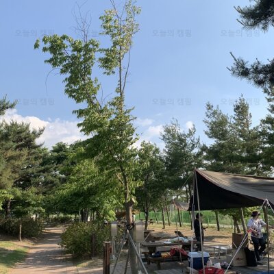 청주 문암생태공원 캠핑장 예약 및 후기
