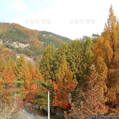 문재인대통령이 거닐었던 산책길을 따라서. 대전 가볼만한곳. 국립장태산 자연휴양림