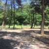 괴산캠핑장-숲속의 하모니