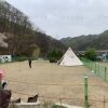 경기도 애견동반캠핑 안성잔디팜애견캠핑장 당일치기로... 