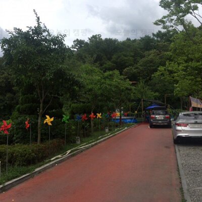 도심속 캠핑, 성남 애견동반 캠핑장 '가족캠핑숲'