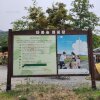 용인 단풍숲 캠핑장 : 1박2일 가족캠핑 토끼 사이트 후기