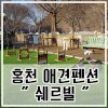 홍천 애견펜션 쉐르빌 : 인천 댕댕이강아지 모임에서 추천받아서 다녀온곳 리뷰리뷰