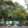 충주 초원오토캠핑장 : 가을과 어울리는 멋진 충주 오토캠핑장 추천